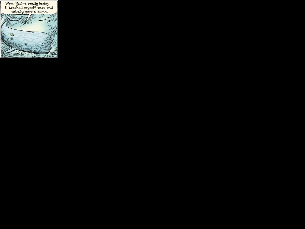 Name:  Lecture1.jpg
Views: 24
Size:  26.2 KB