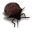 Sibby's Avatar