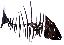 knochenfish's Avatar