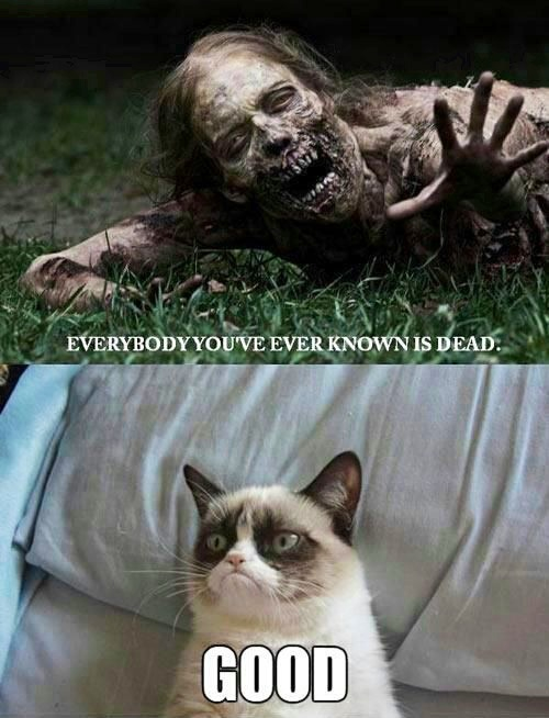 Name:  7-Angry-Cat-memes-very-funny-2013-funny.jpg
Views: 1291
Size:  208.0 KB