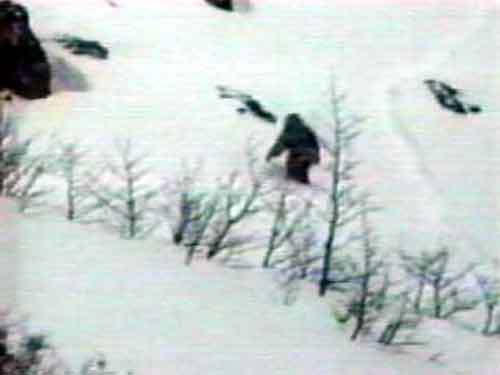 Name:  yeti_lg.jpg
Views: 1721
Size:  10.8 KB