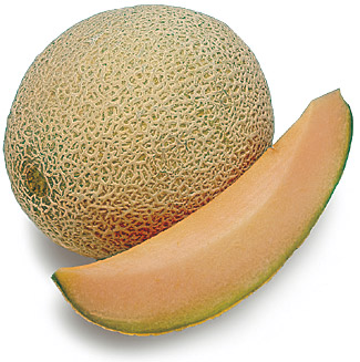 Name:  cantaloupe.jpg
Views: 1002
Size:  45.8 KB