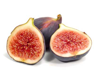 Name:  fig-wasp-3.jpg
Views: 612
Size:  13.2 KB