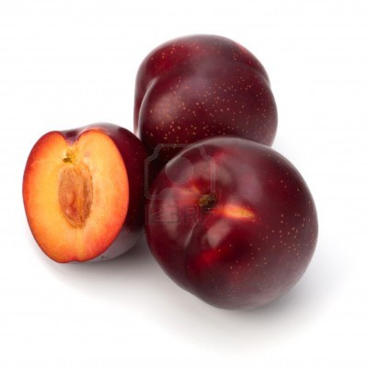 Name:  11447624-red-plum-fruit-isolated-on-white-background.jpg
Views: 739
Size:  100.4 KB
