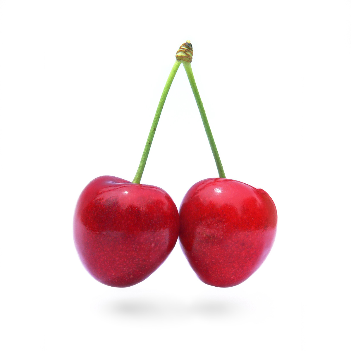 Name:  Cherry_Stella444.jpg
Views: 992
Size:  290.0 KB