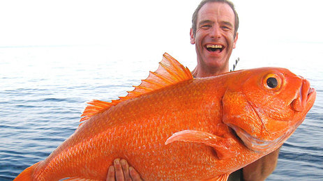Name:  large_size_Robson-and-Ruby-Snapper--laughing640x360.jpg
Views: 86
Size:  43.3 KB