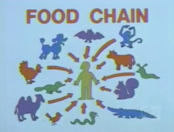 Name:  foodchain.jpg
Views: 1959
Size:  23.0 KB