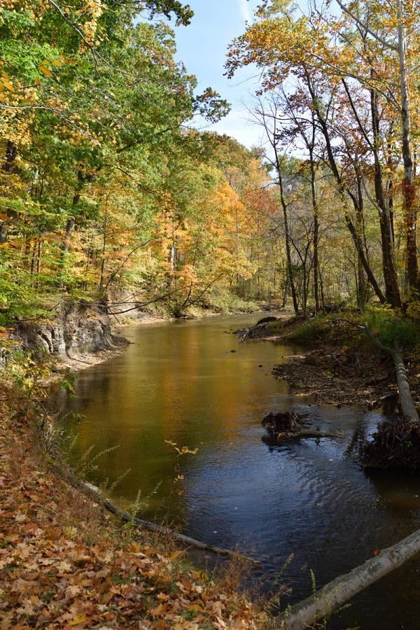 Name:  rockyriver.jpg
Views: 867
Size:  161.5 KB