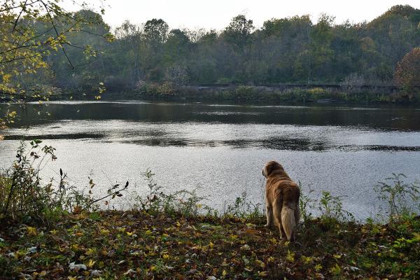 Name:  enzoconneautcreek.jpg
Views: 872
Size:  62.3 KB