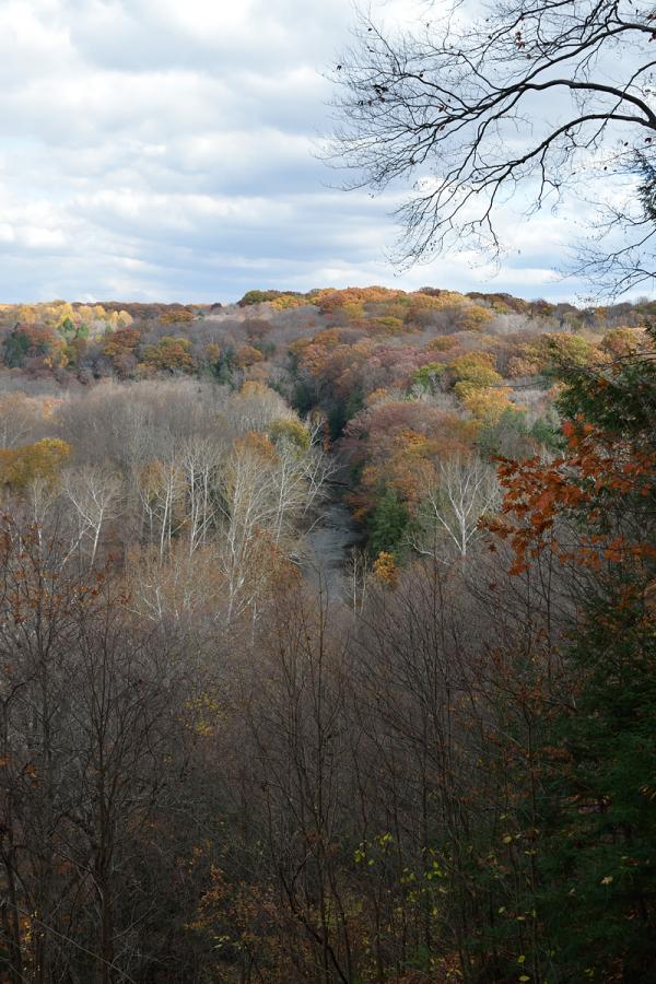 Name:  tinkerscreek.jpg
Views: 857
Size:  104.8 KB