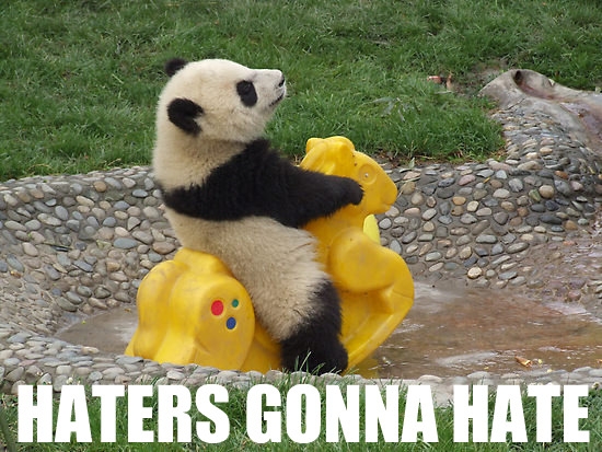 Name:  Img-haters-gonna-hate-panda-352.jpeg
Views: 601
Size:  164.6 KB