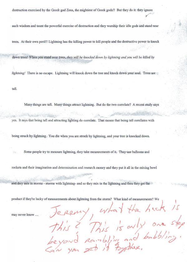 Name:  lightning-essay2.jpg
Views: 771
Size:  57.3 KB