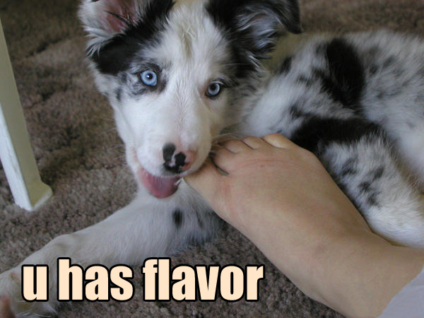 Name:  U_Has_Flavor_by_ShinseiKatai.jpg
Views: 816
Size:  106.6 KB