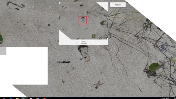 Name:  lavolpe3.jpg
Views: 1235
Size:  32.2 KB