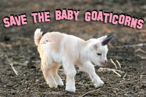 Name:  savethebabygoaticorn.jpg
Views: 760
Size:  82.3 KB