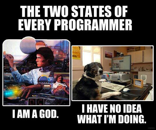 Name:  funny-states-programmer-god-dog.jpg
Views: 599
Size:  56.4 KB