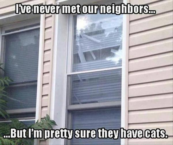 Name:  funny-neighbors-cat.jpg
Views: 540
Size:  46.1 KB