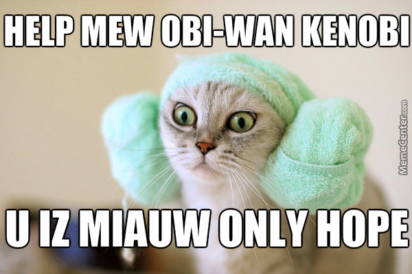 Name:  haha-more-cat-memes_o_3937157.jpg
Views: 287
Size:  158.8 KB
