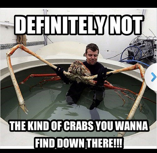 Name:  1366811659-I-Got-Crabs.jpg
Views: 661
Size:  64.0 KB