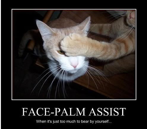 Name:  Catpalm.jpg
Views: 1114
Size:  40.6 KB
