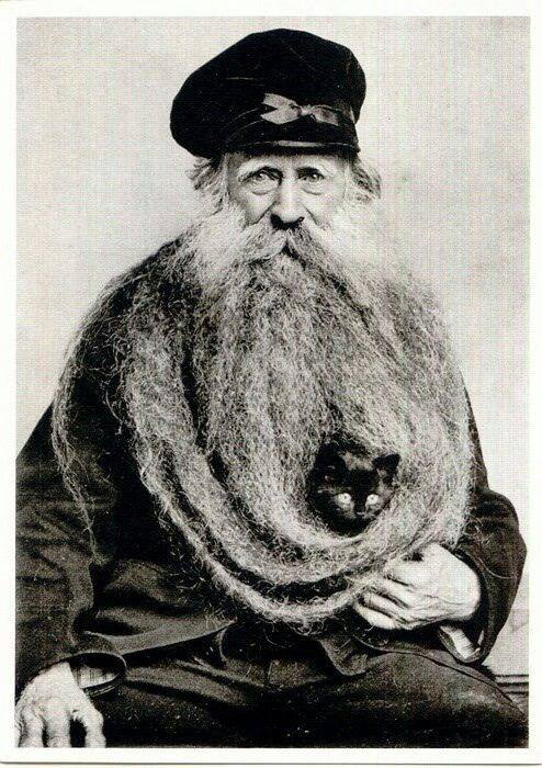 Name:  cat-beard[1].jpg
Views: 191
Size:  77.2 KB