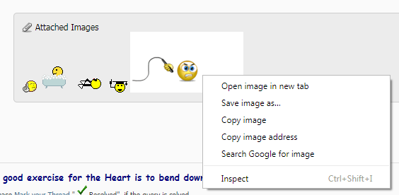 Name:  VBFSmilies.png
Views: 983
Size:  15.8 KB