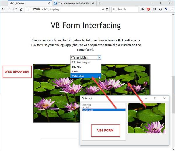 Name:  Web VB6Form Interfacing.jpg
Views: 967
Size:  47.3 KB