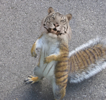 Name:  Tiger Squirrel.PNG
Views: 1925
Size:  325.4 KB