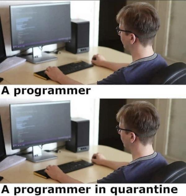 Name:  programmer.jpg
Views: 1605
Size:  44.0 KB