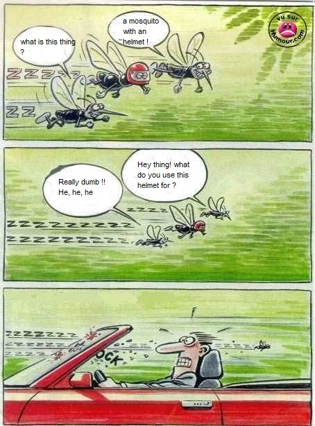 Name:  mosquito.jpg
Views: 555
Size:  97.0 KB