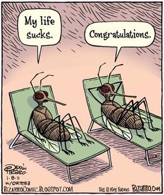 Name:  mosquito.jpg
Views: 657
Size:  24.0 KB