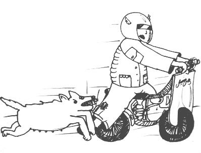 Name:  perro-extremo-perrogordo-cl.jpg
Views: 785
Size:  17.8 KB
