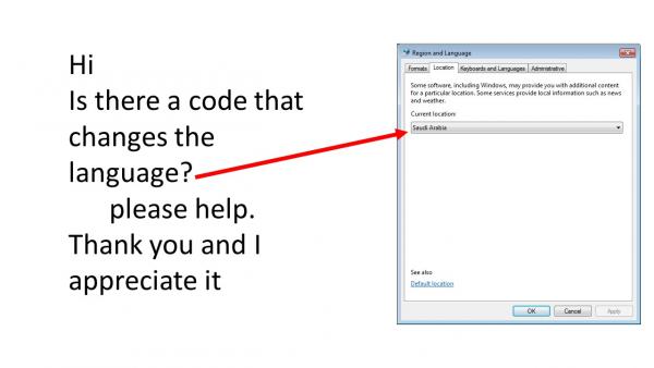 Is there a code that changes the language?-VBForums