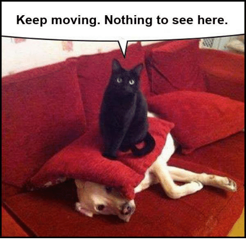 Name:  keep-moving-nothing-to-see-here-8130708.png
Views: 450
Size:  127.3 KB