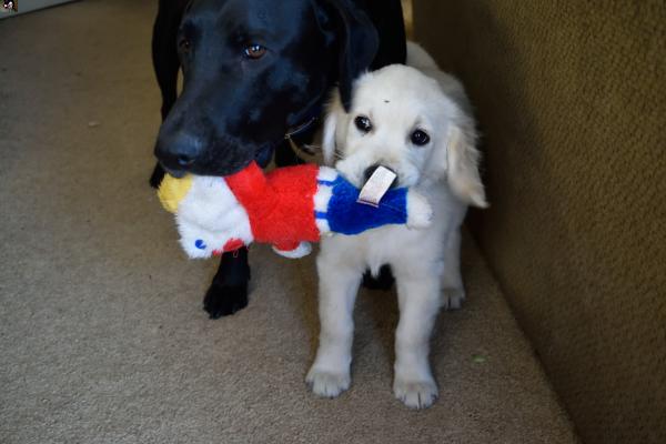 Name:  DSC_0007.jpg
Views: 555
Size:  29.2 KB