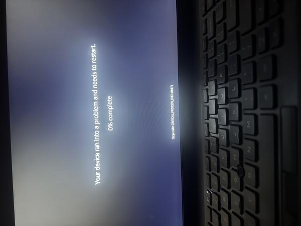 Name:  crash-screen.jpg
Views: 7
Size:  19.3 KB