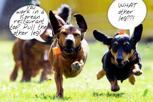 Name:  dogs2.jpg
Views: 1060
Size:  21.6 KB