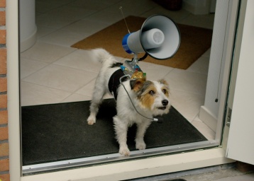 Name: Hond.jpg
Views: 469
Size: 32.2 KB