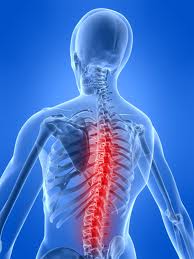 Name:  Orthopedics.jpg
Views: 130
Size:  8.6 KB