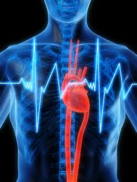 Name:  Cardiology.jpg
Views: 124
Size:  9.3 KB