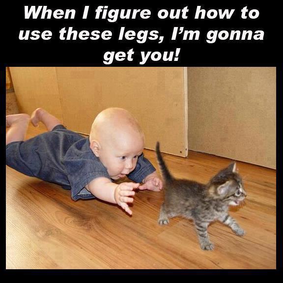 Name:  303396_10152696824270352_2021776706_n_Things_that_amuse_me_21-s576x576-381739-580.jpg
Views: 661
Size:  46.5 KB