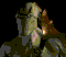 Rikk's Avatar