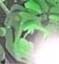 the unknown's Avatar
