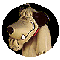 mutley's Avatar