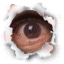 Bazza81's Avatar