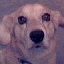 FrogBoy666's Avatar