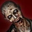 Vahid's Avatar