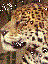 Tequila_worm's Avatar