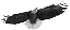 EagleEye's Avatar