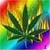 phase's Avatar